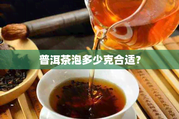 普洱茶泡多少克合适？