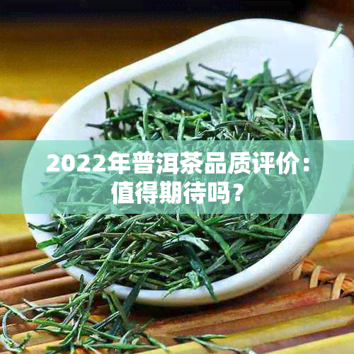 2022年普洱茶品质评价：值得期待吗？