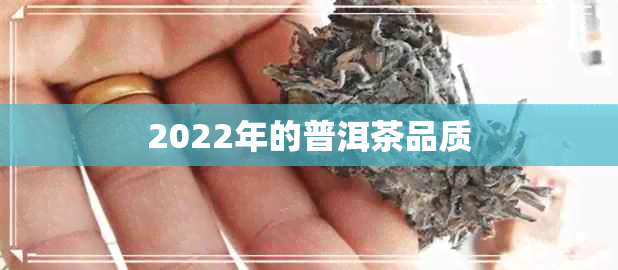 2022年的普洱茶品质