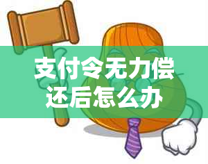 支付令无力偿还后怎么办