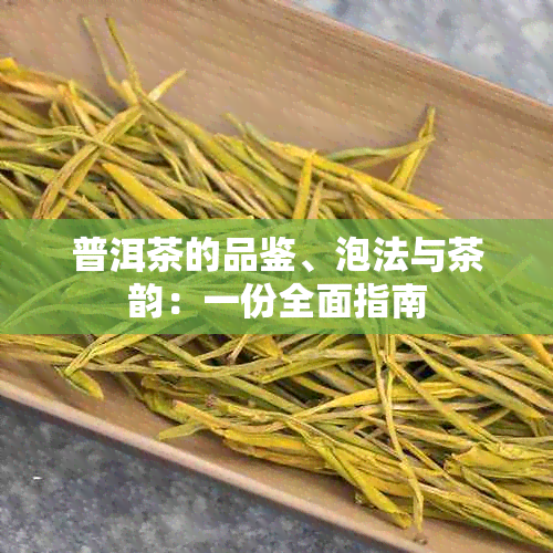 普洱茶的品鉴、泡法与茶韵：一份全面指南