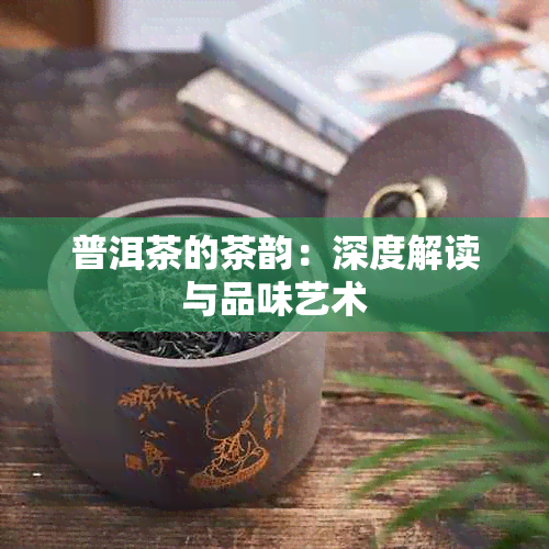 普洱茶的茶韵：深度解读与品味艺术