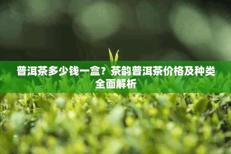 普洱茶多少钱一盒？茶韵普洱茶价格及种类全面解析