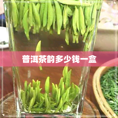 普洱茶韵多少钱一盒