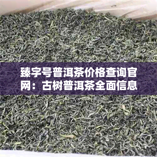 臻字号普洱茶价格查询官网：古树普洱茶全面信息与价格解析