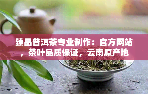 臻品普洱茶专业制作：官方网站，茶叶品质保证，云南原产地