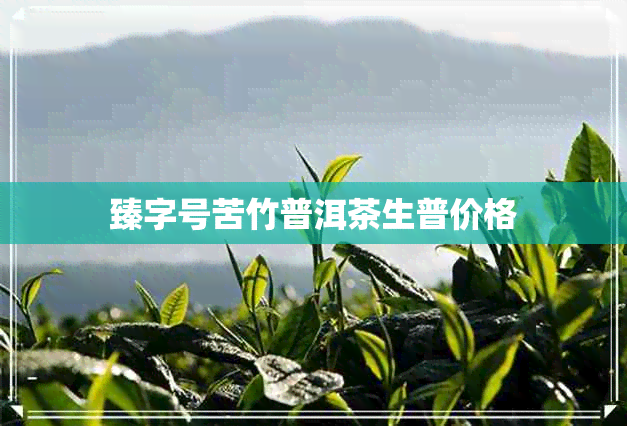 臻字号苦竹普洱茶生普价格