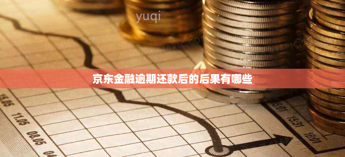 京东金融逾期还款后的后果有哪些