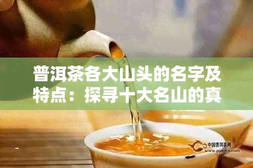 普洱茶各大山头的名字及特点：探寻十大名山的真实面貌