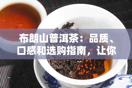 布朗山普洱茶：品质、口感和选购指南，让你全面了解这款茶叶的一切