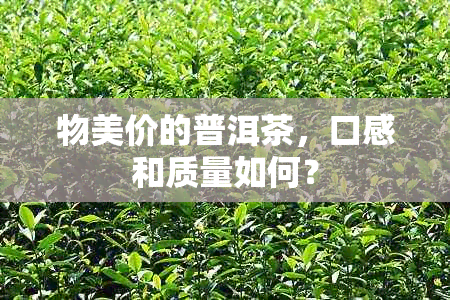 物美价的普洱茶，口感和质量如何？