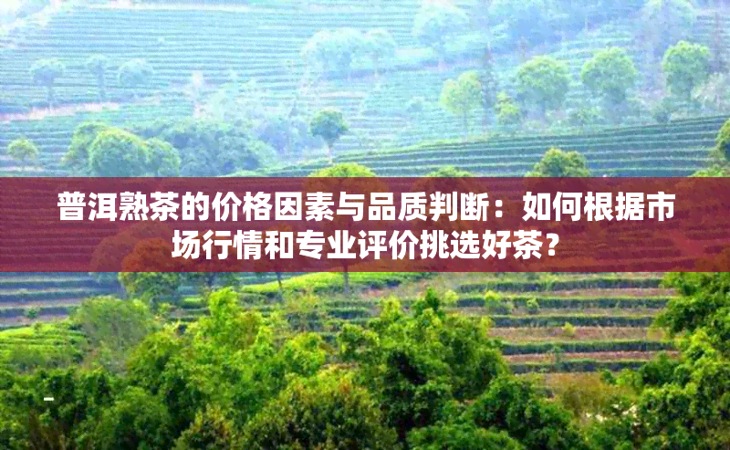 普洱熟茶的价格因素与品质判断：如何根据市场行情和专业评价挑选好茶？