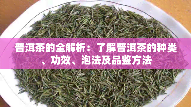 普洱茶的全解析：了解普洱茶的种类、功效、泡法及品鉴方法