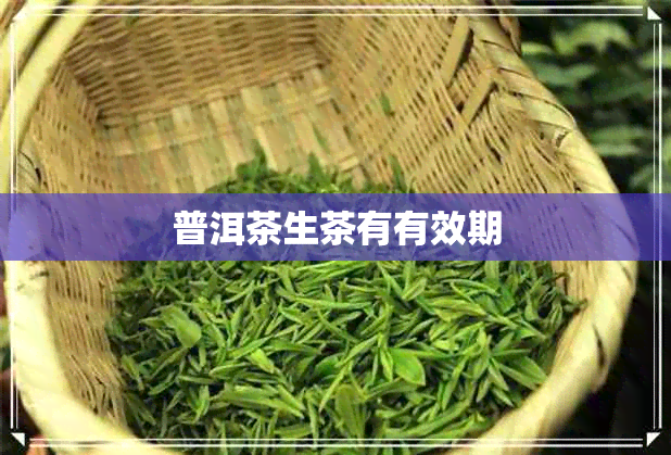 普洱茶生茶有有效期