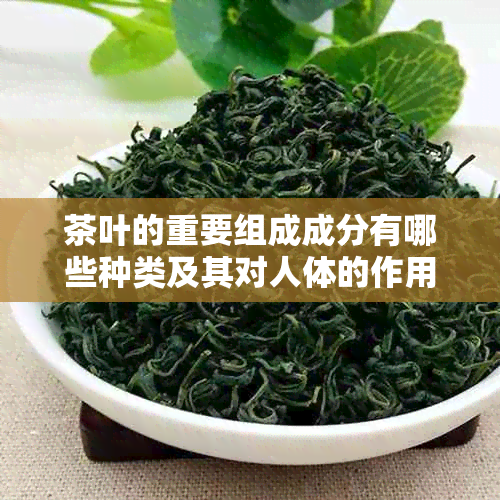 茶叶的重要组成成分有哪些种类及其对人体的作用？