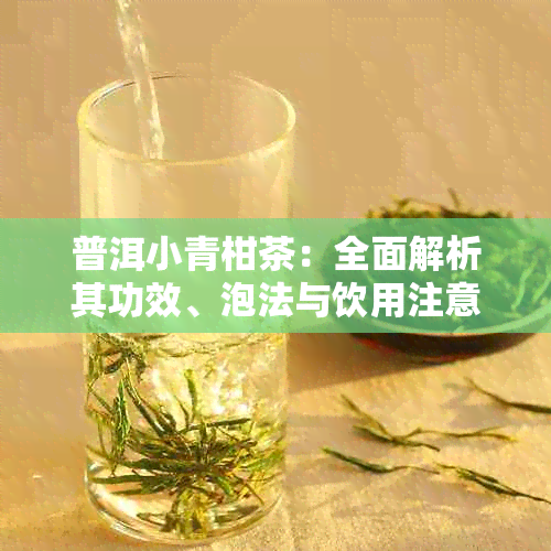 普洱小青柑茶：全面解析其功效、泡法与饮用注意事项