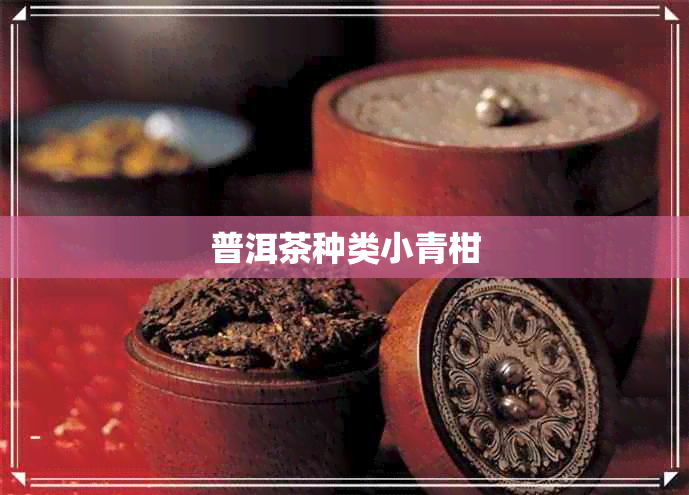 普洱茶种类小青柑