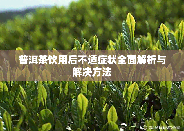 普洱茶饮用后不适症状全面解析与解决方法