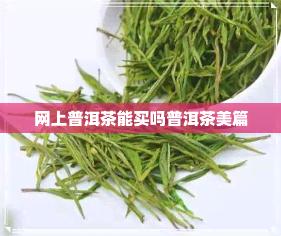 网上普洱茶能买吗普洱茶美篇