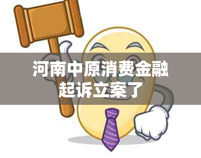 河南中原消费金融起诉立案了