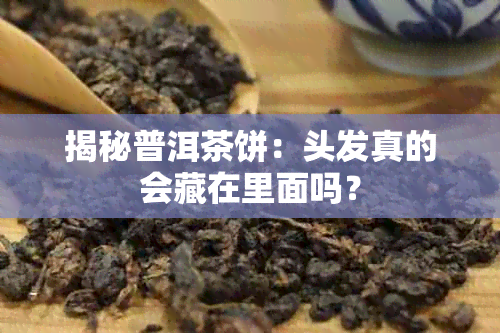 揭秘普洱茶饼：头发真的会藏在里面吗？