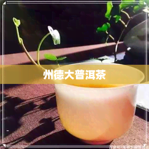 州德大普洱茶