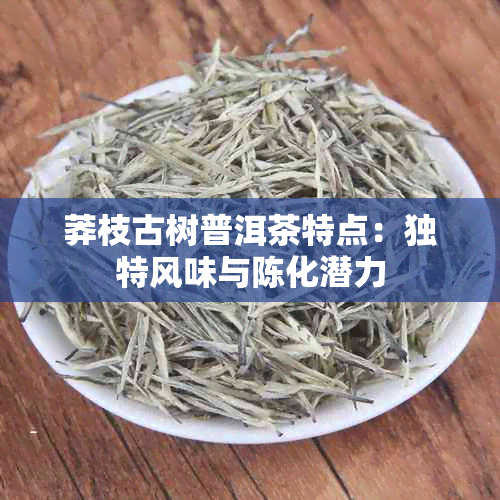 莽枝古树普洱茶特点：独特风味与陈化潜力