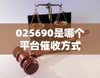 025690是哪个平台方式