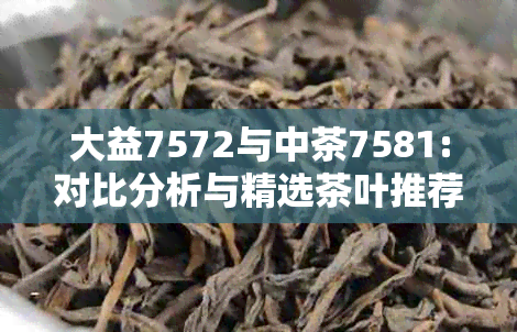 大益7572与中茶7581:对比分析与精选茶叶推荐