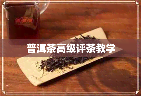 普洱茶高级评茶教学