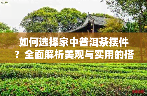 如何选择家中普洱茶摆件？全面解析美观与实用的搭配建议