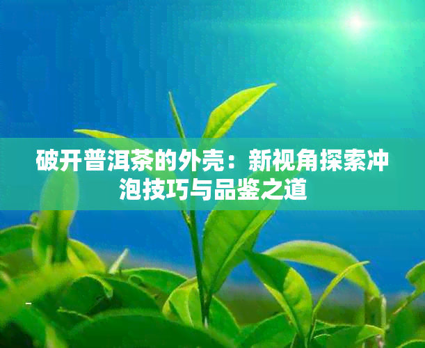 破开普洱茶的外壳：新视角探索冲泡技巧与品鉴之道