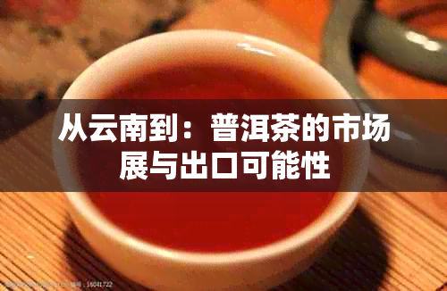 从云南到：普洱茶的市场展与出口可能性