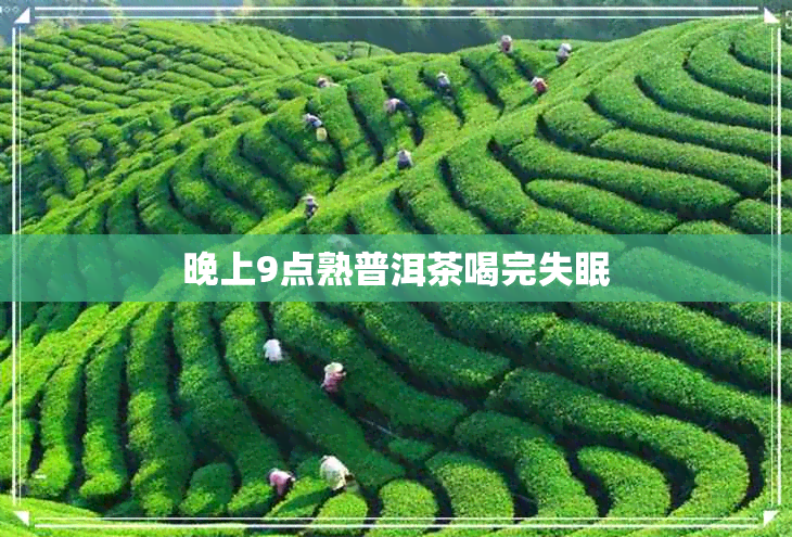 晚上9点熟普洱茶喝完失眠