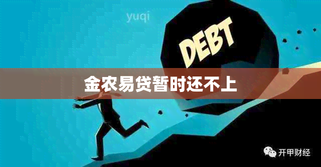 金农易贷暂时还不上