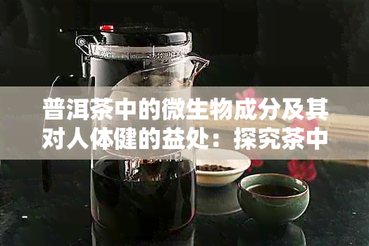 普洱茶中的微生物成分及其对人体健的益处：探究茶中菌群的多样性与功能