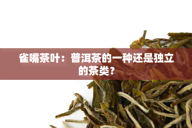 雀嘴茶叶：普洱茶的一种还是独立的茶类？