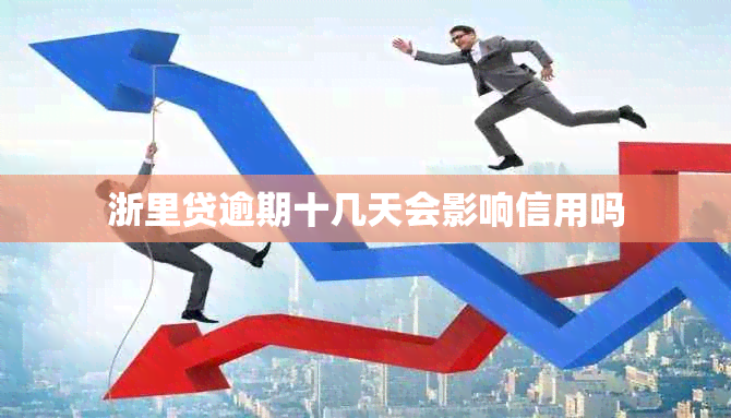 浙里贷逾期十几天会影响信用吗