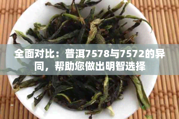 全面对比：普洱7578与7572的异同，帮助您做出明智选择