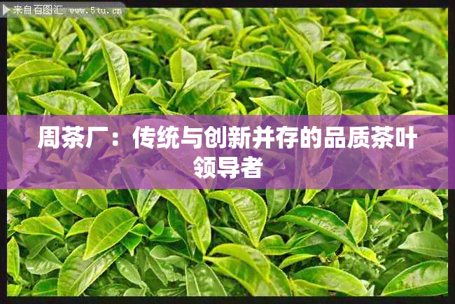 周茶厂：传统与创新并存的品质茶叶领导者