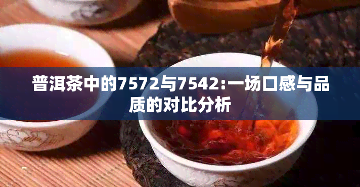 普洱茶中的7572与7542:一场口感与品质的对比分析