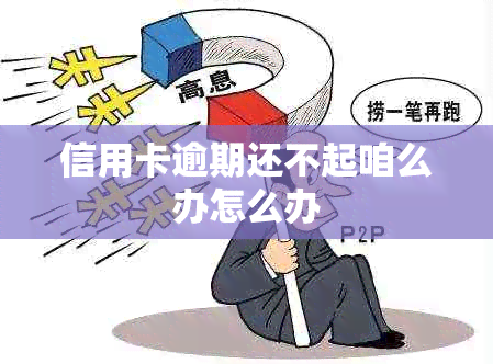 信用卡逾期还不起咱么办怎么办