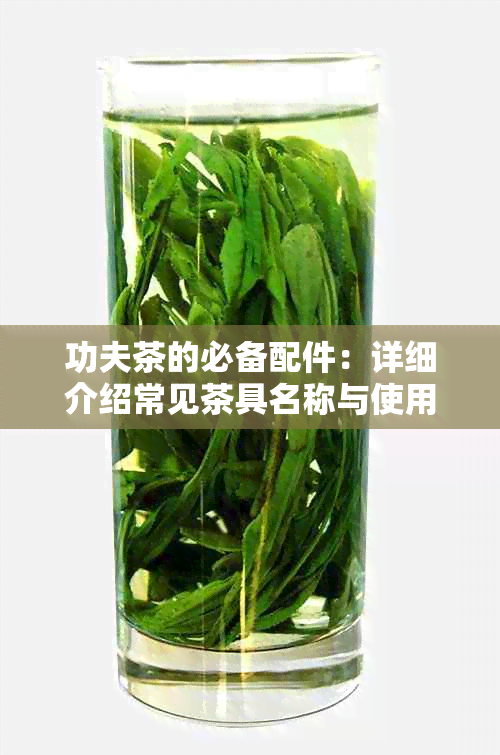 功夫茶的必备配件：详细介绍常见茶具名称与使用技巧