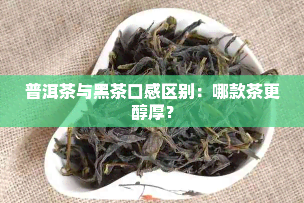 普洱茶与黑茶口感区别：哪款茶更醇厚？