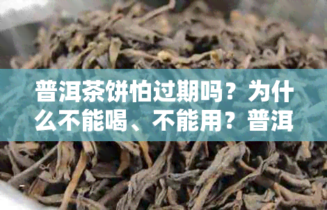 普洱茶饼怕过期吗？为什么不能喝、不能用？普洱茶饼会过期吗？