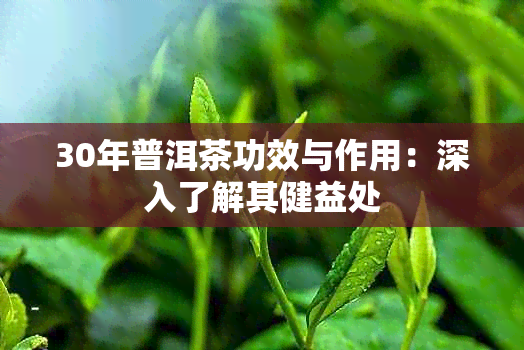 30年普洱茶功效与作用：深入了解其健益处