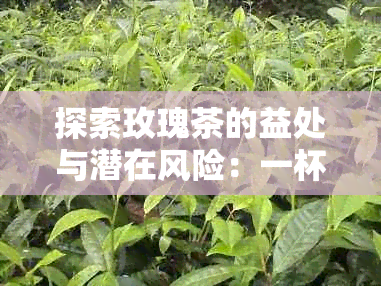 探索玫瑰茶的益处与潜在风险：一杯花香中的健秘密