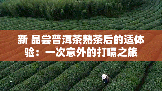 新 品尝普洱茶熟茶后的适体验：一次意外的打嗝之旅