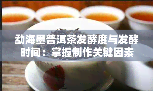 勐海墨普洱茶发酵度与发酵时间：掌握制作关键因素