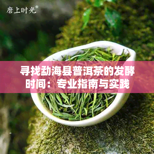 寻找勐海县普洱茶的发酵时间：专业指南与实践